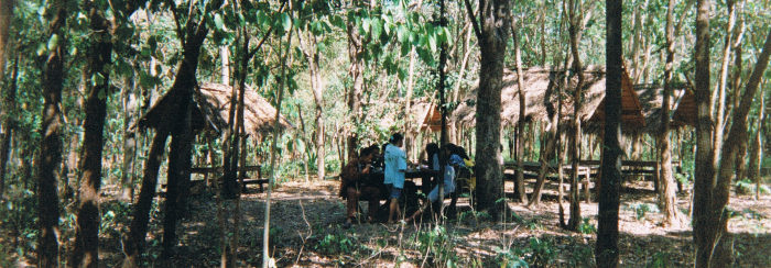 Lesson outside